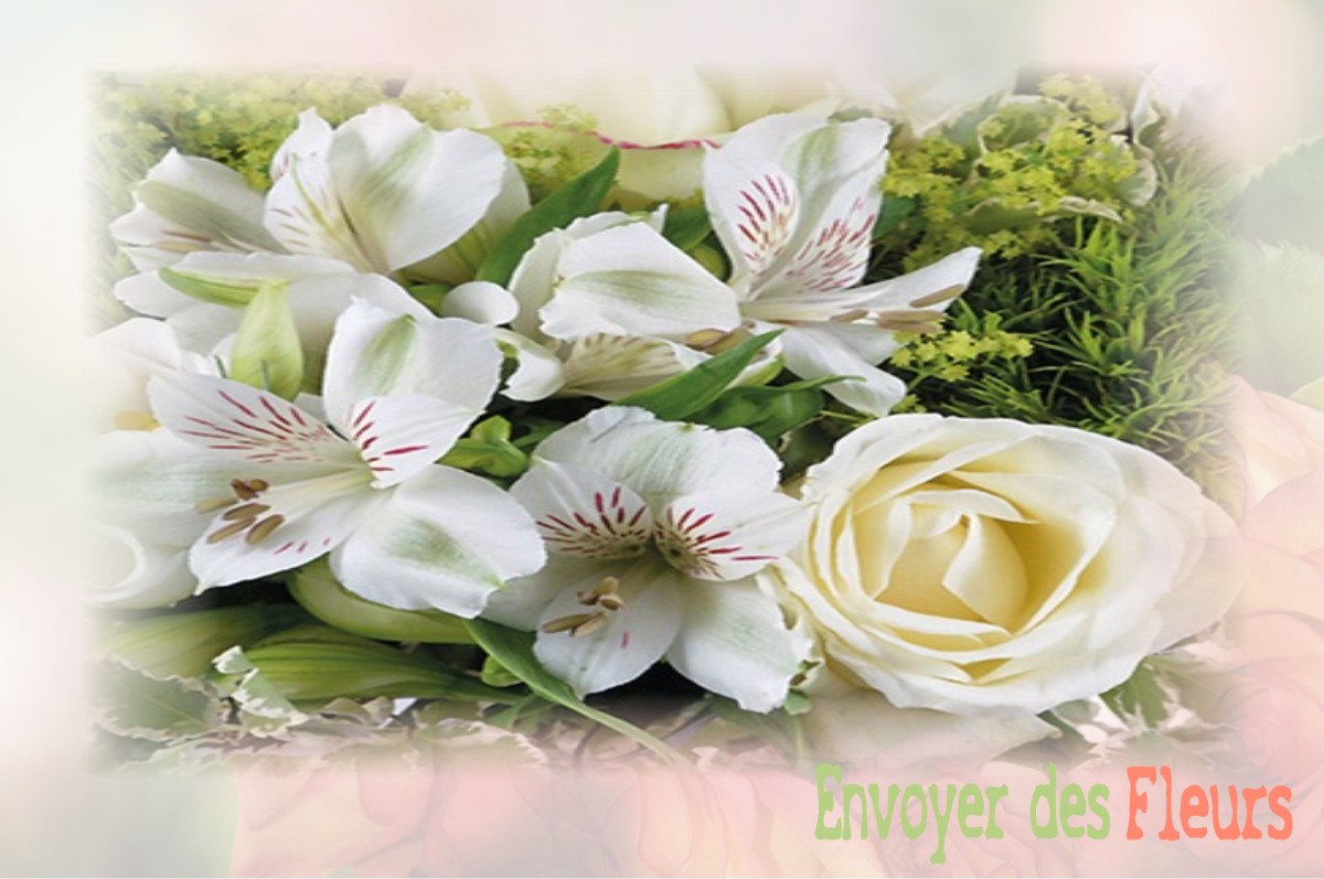 envoyer des fleurs à à VILLENEUVE-DE-LA-RAHO